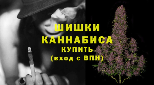 ECSTASY Вяземский