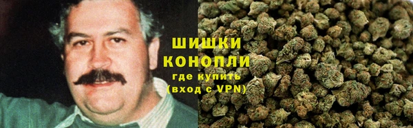 ECSTASY Вяземский