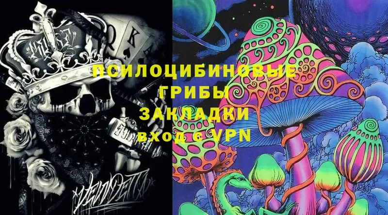 Галлюциногенные грибы Cubensis  хочу   Усолье-Сибирское 